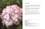Hydrangeas: Beautiful Varieties for Home & Garden