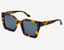 COCO Sunglasses -Tortoise/Gray